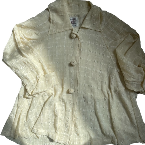Vintage oversized Fall autumn sheer beige button down top - Picture 12 of 17